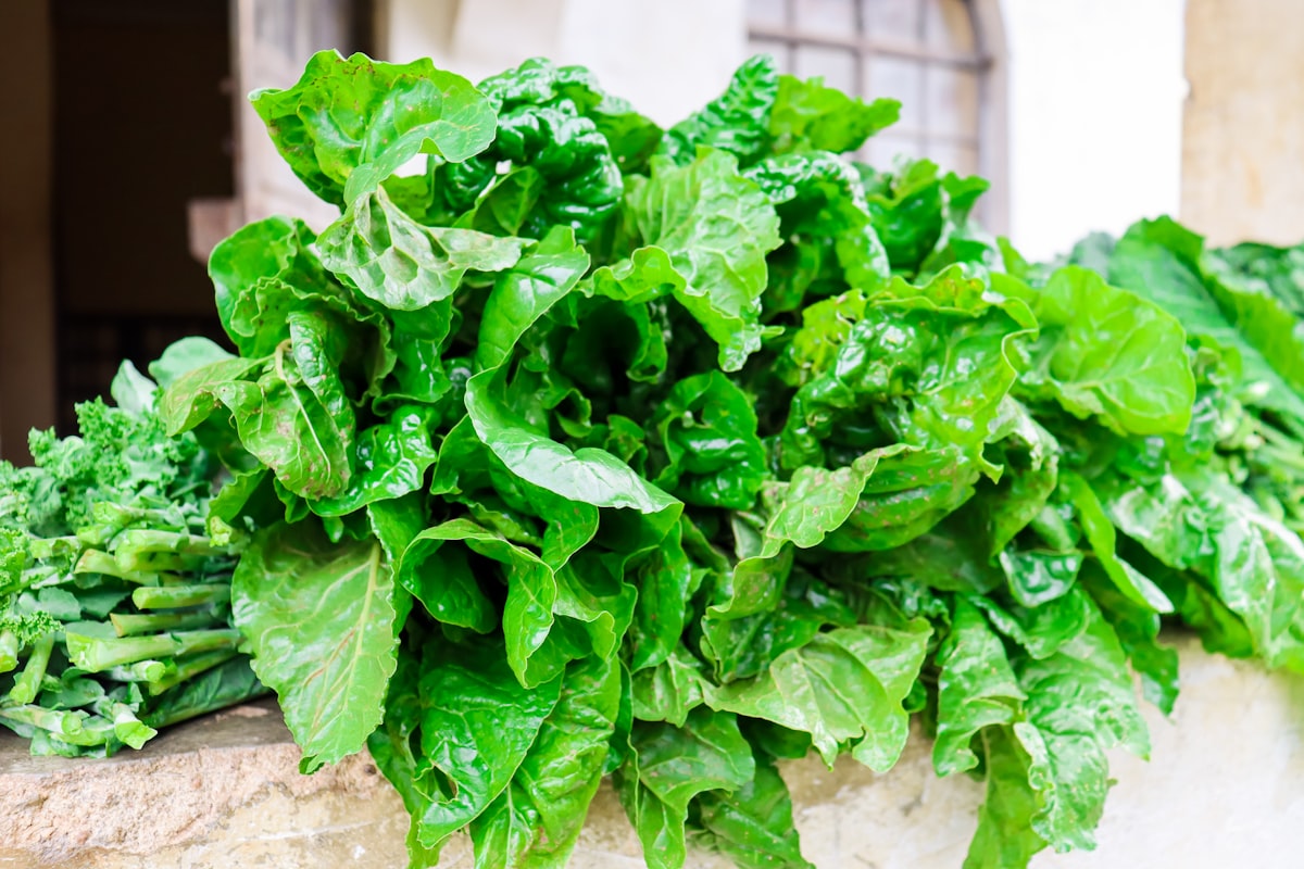 Verdure a foglia verde
