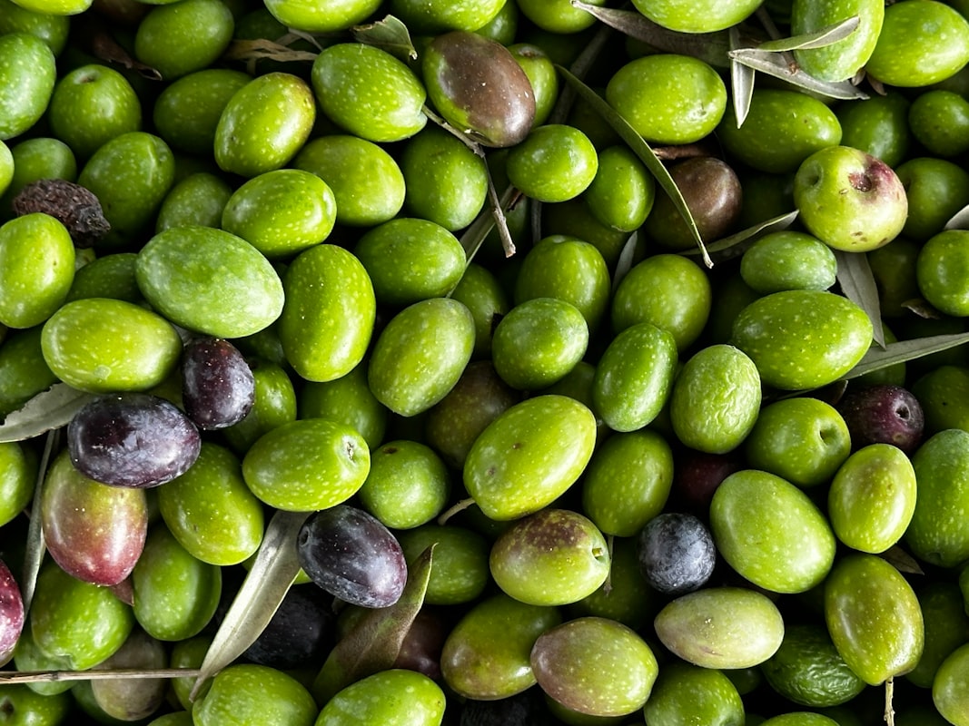 Olio di oliva nella cucina italiana
