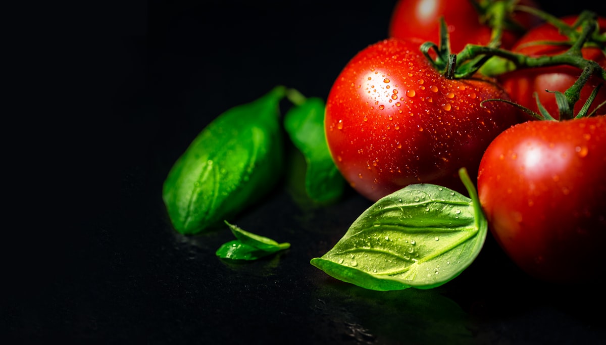 Minestra d'Orzo e Verdure